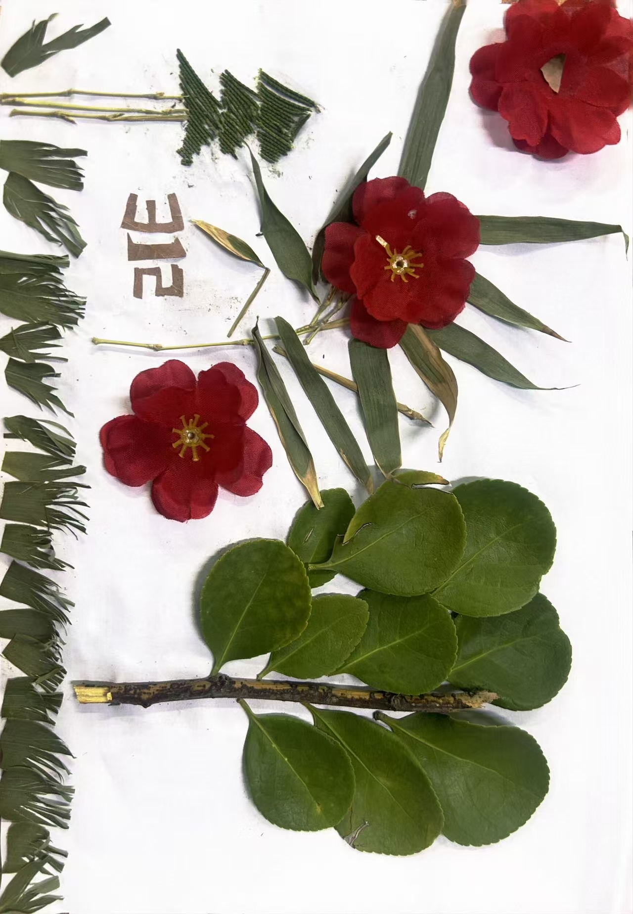 BBIN宝盈集团官网